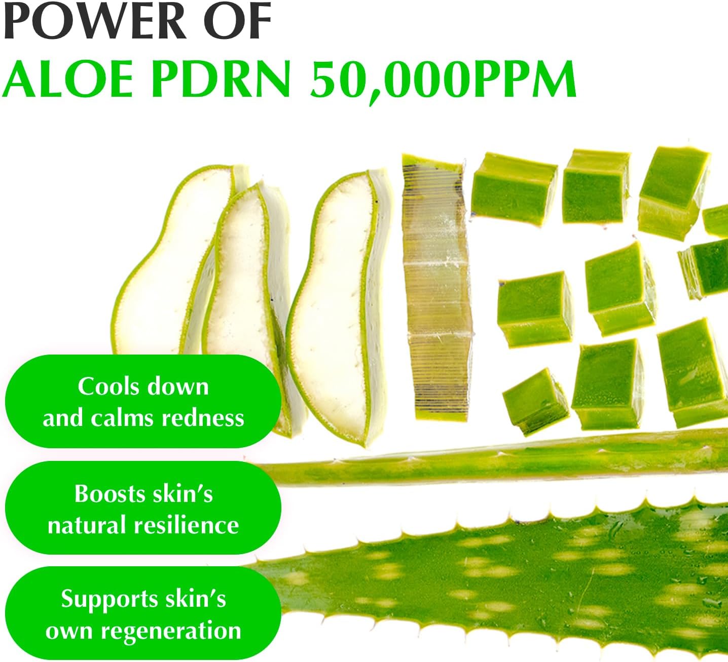 EQQUALBERRY Aloe PDRN calming Serum